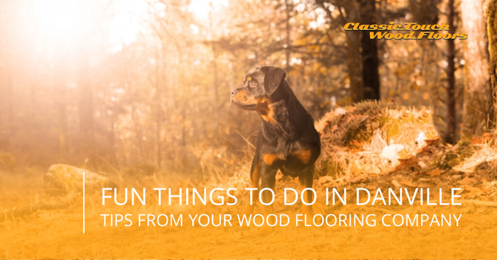 Fun Things To Do In Danville Tips From Your Danville Wood Flooring